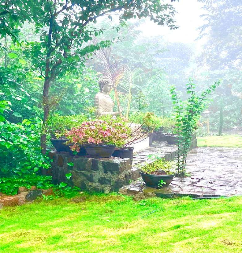 Tranquil Buddha garden in the mist