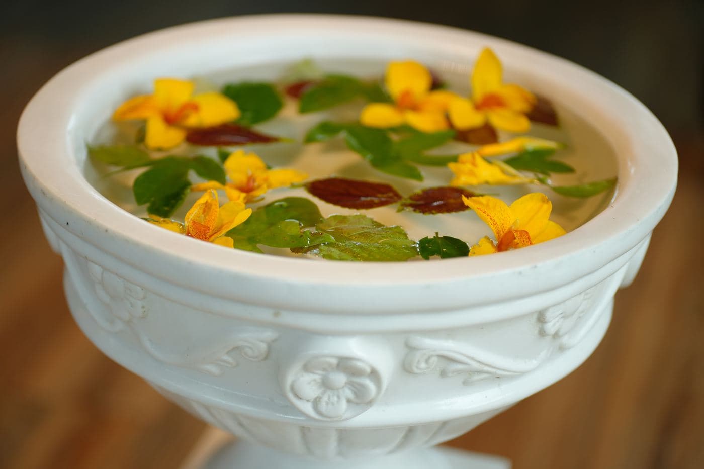 A plated dish from the multi-cuisine kitchen