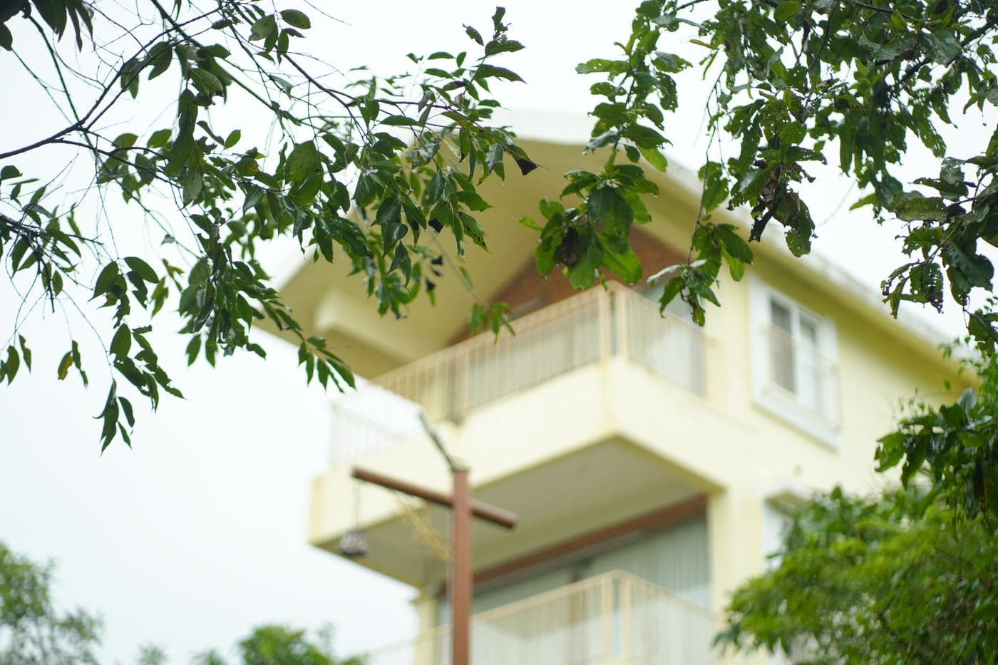 Guest block framed by the jungle canopy