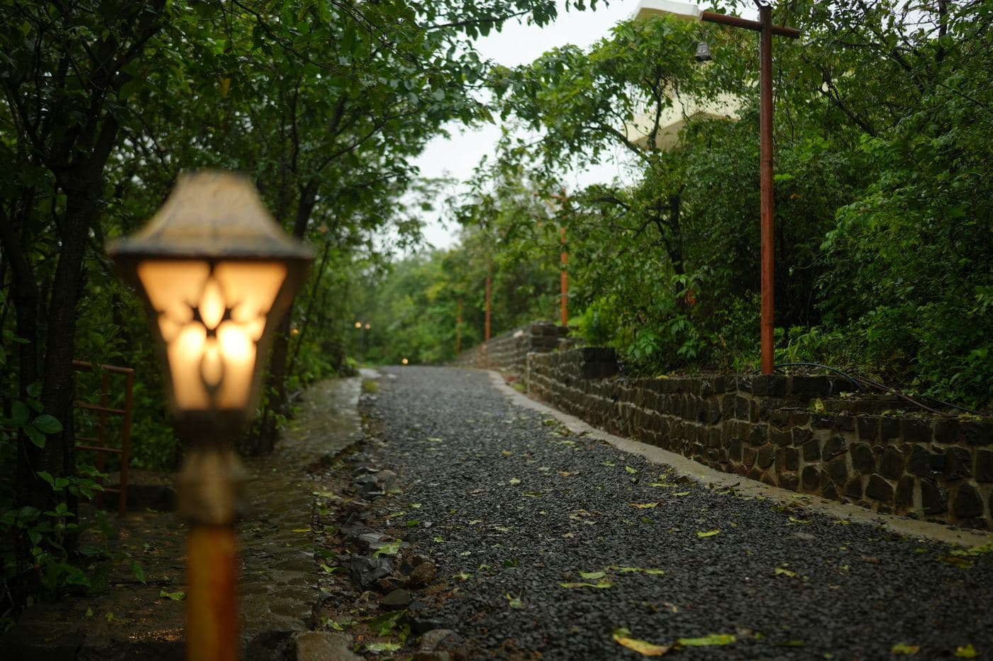 Lantern-lit pathway through the campus