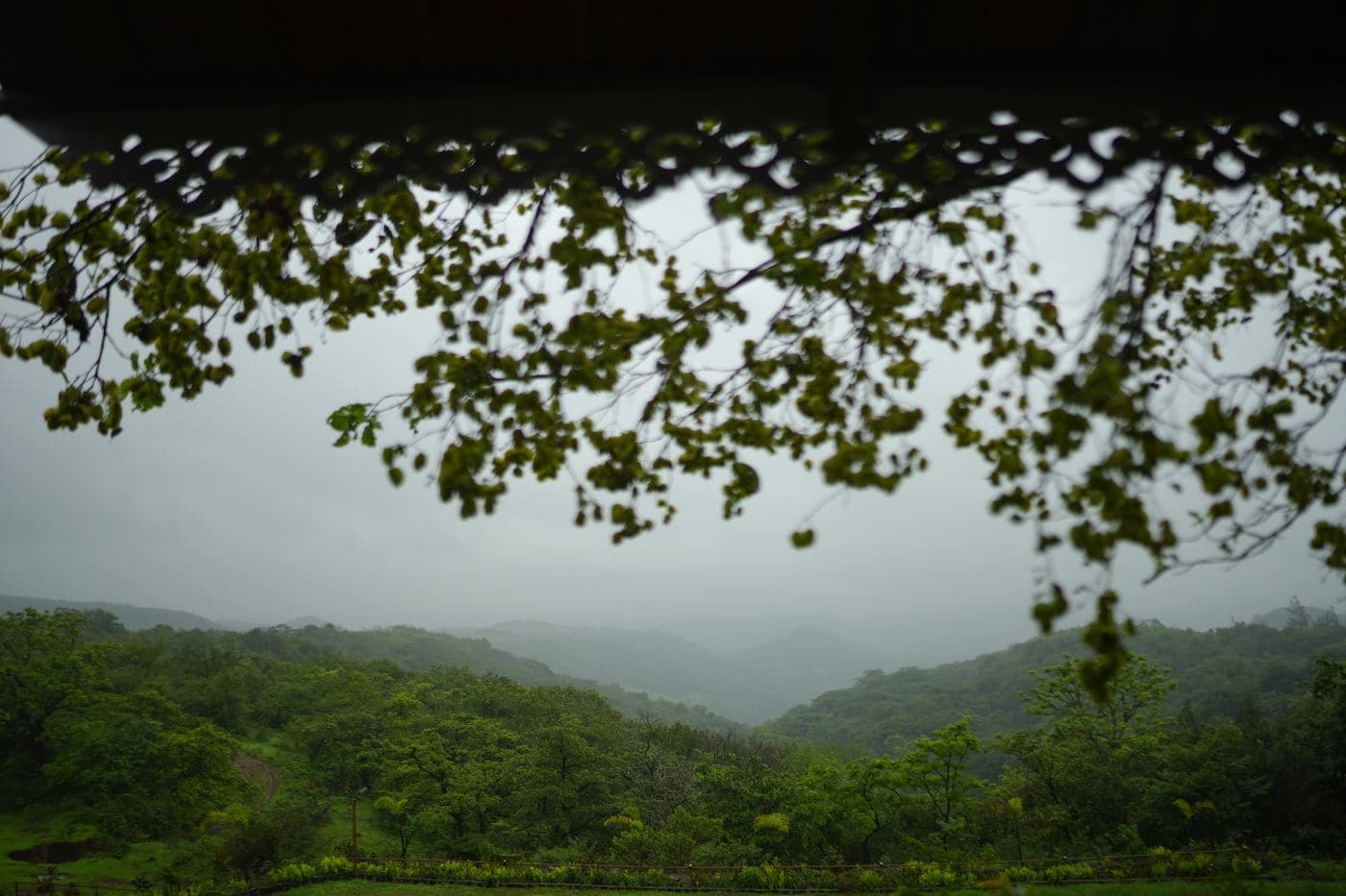 Mist rolling over the Sahyadri hills