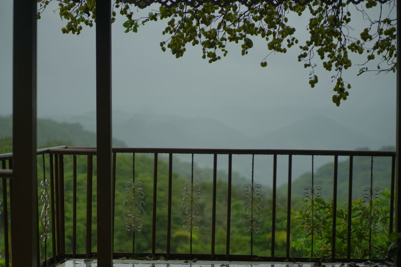 Valley view from the resort deck